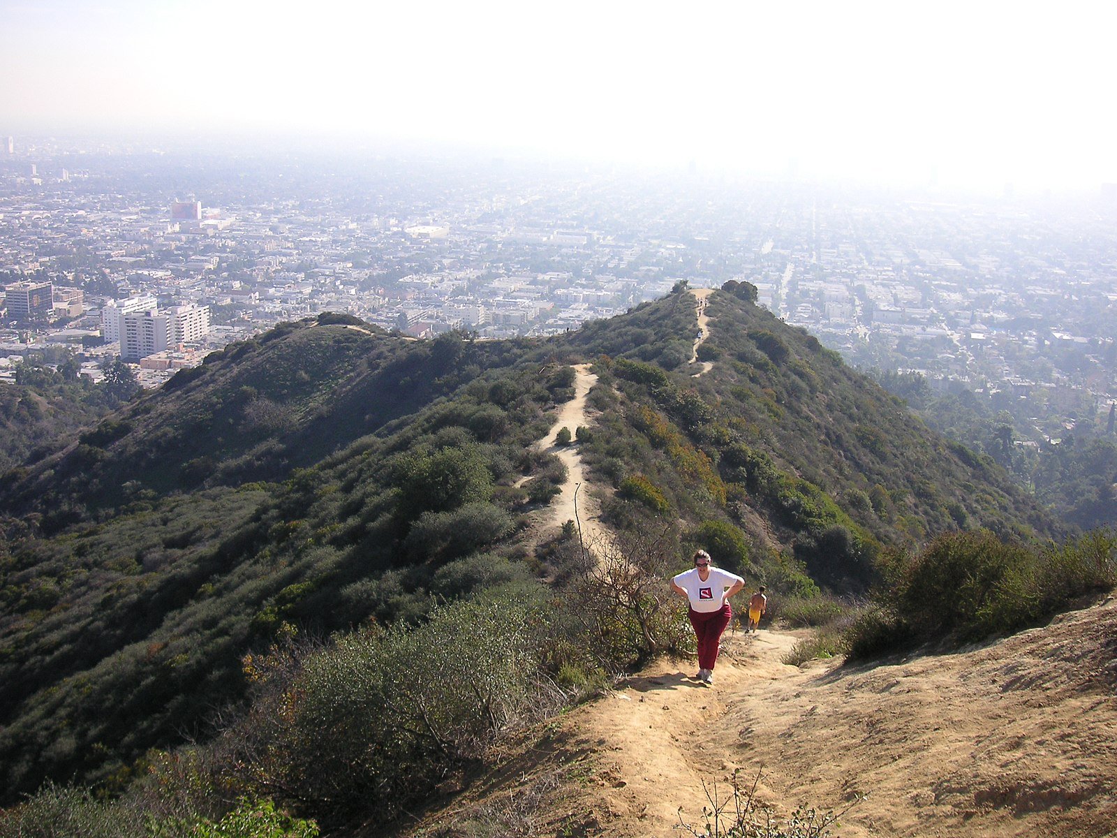 Runyon Canyon Hiking Trail In Los Angeles